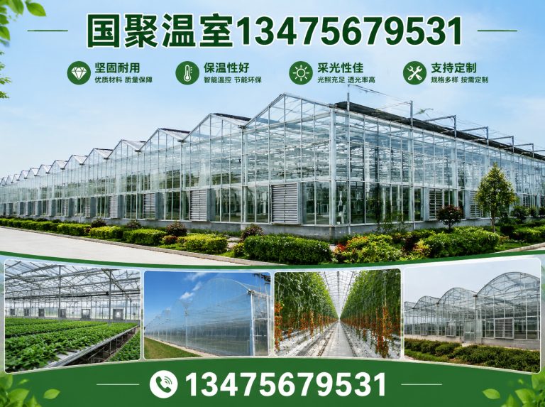 昌乐县青州温室展示图