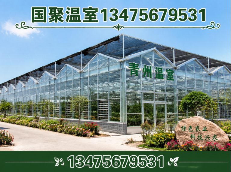 昌乐县温室设计施工展示图